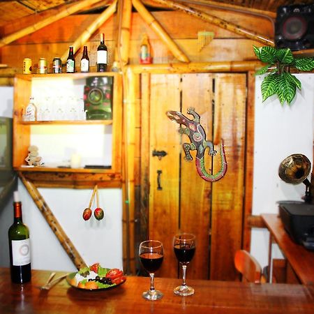 Ecolodge Puente Explanacion Salento Exterior photo